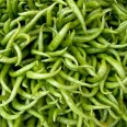 Kıl Sivri Biber / Thin Pepper